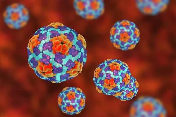 Illustration representing Hepatitis A