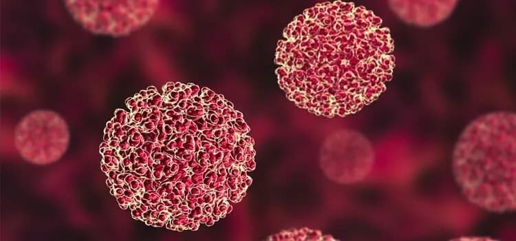 Illustration representing Hepatitis B