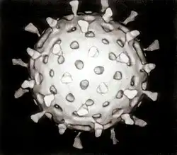 Illustration for the Rotavirus vaccine vaccine
