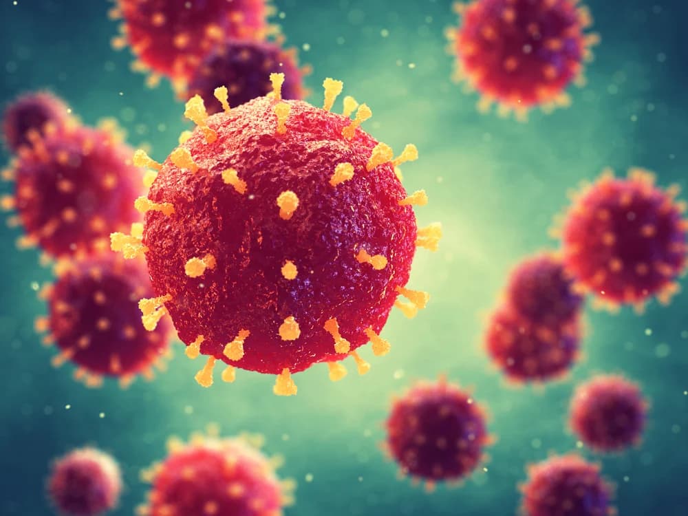 Illustration representing Rubella