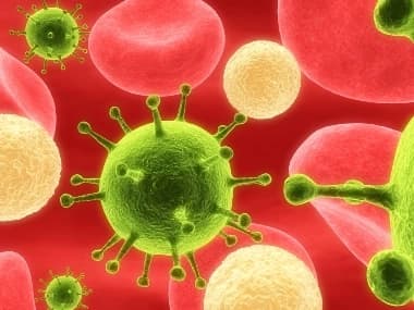 Illustration representing Typhoid